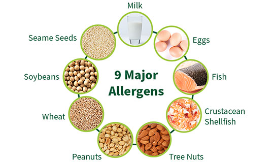 9 Major Allergens Wheel