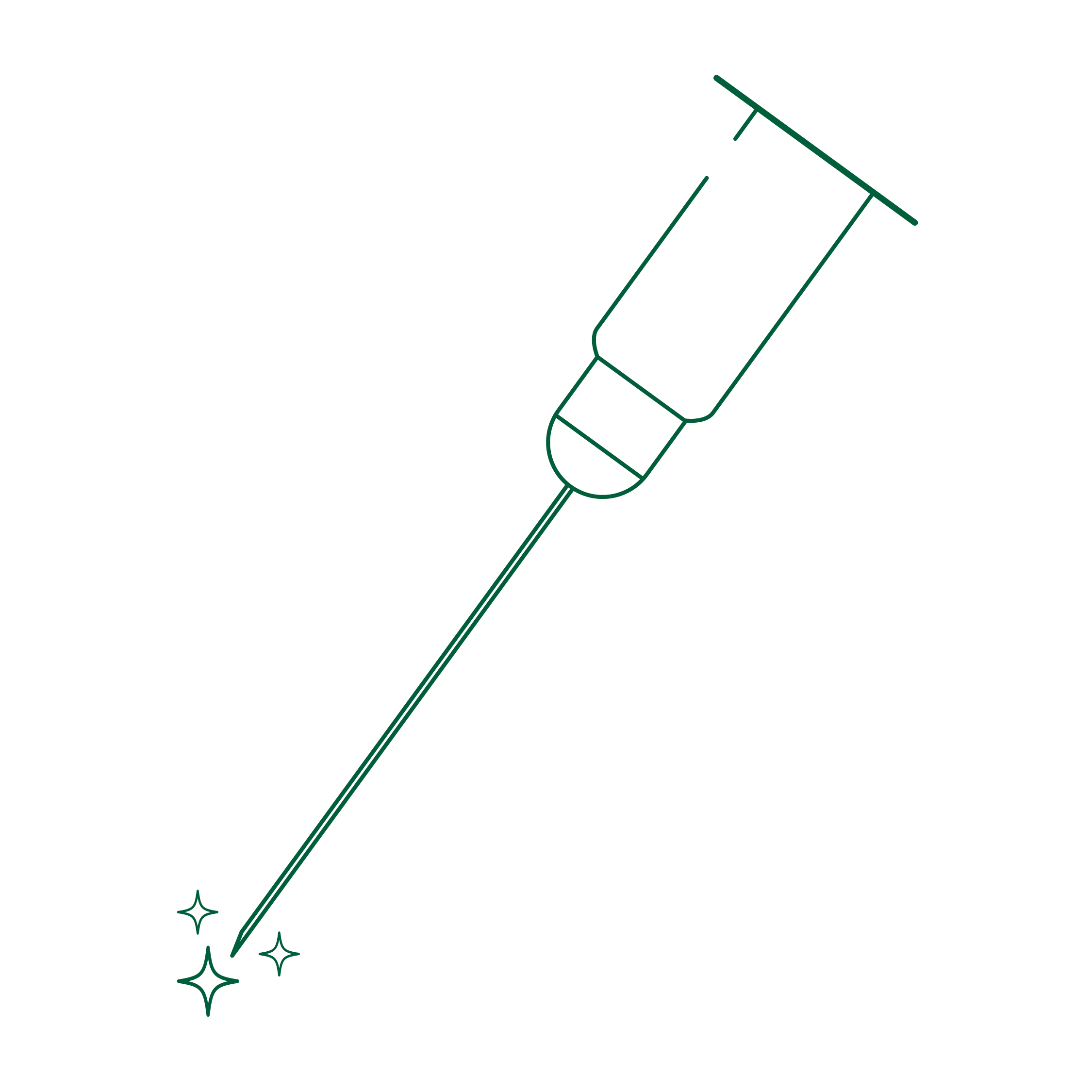 Illustration of a standalone needle used as an icon to indicate precise and controlled veterinary insertion.