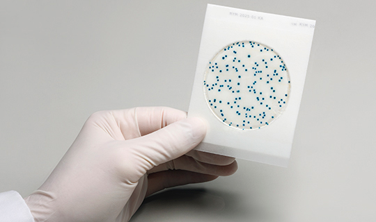 Results being displayed on a Petrifilm plate.