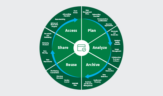 Cycle chart illustration showing a mature data lifecycle